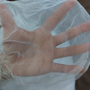 Mosquito netting